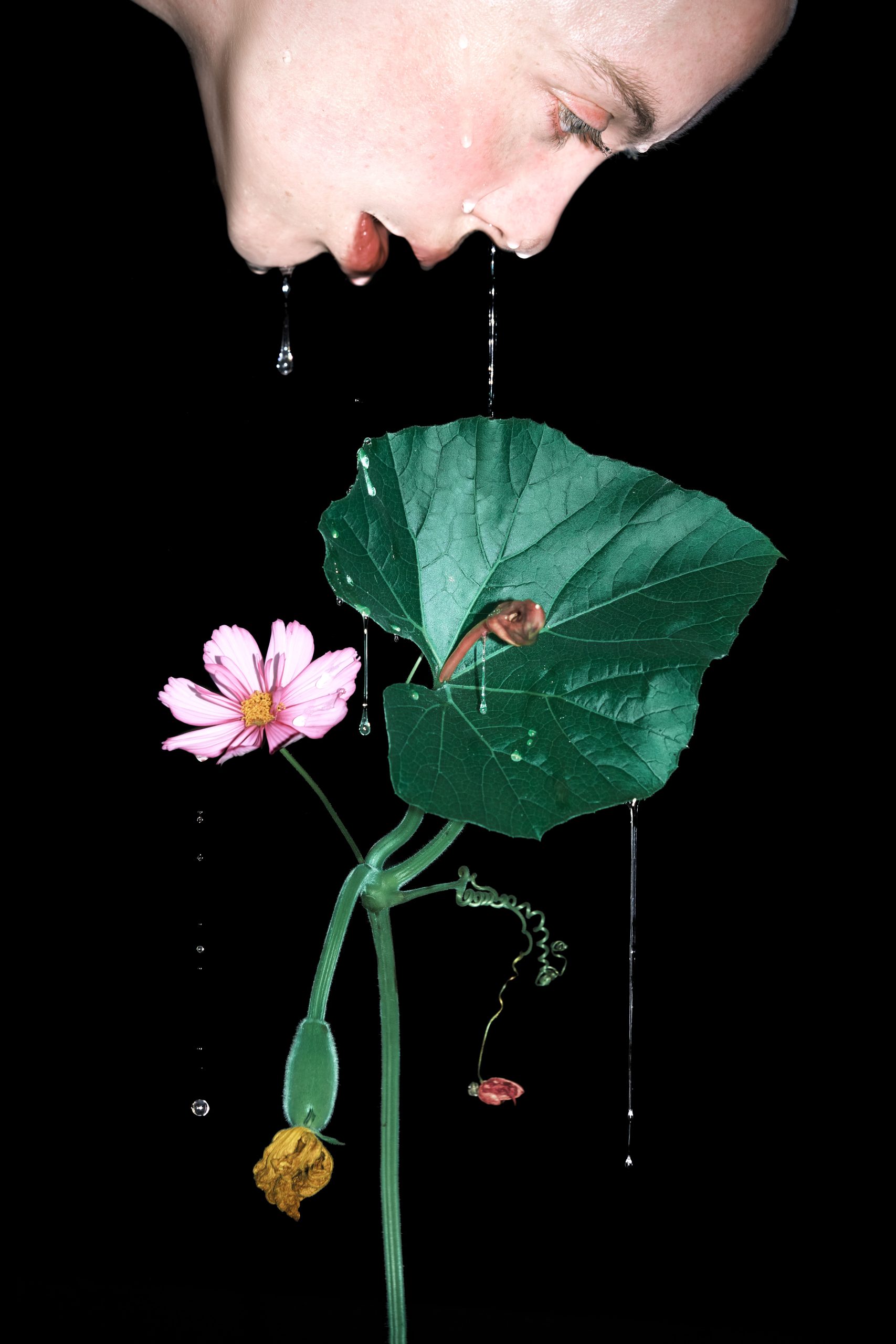 DSCF4718